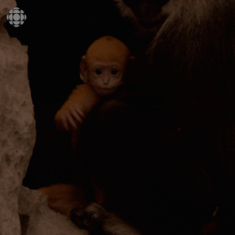 go away no GIF by CBC