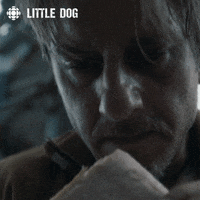 little dog spam GIF by CBC