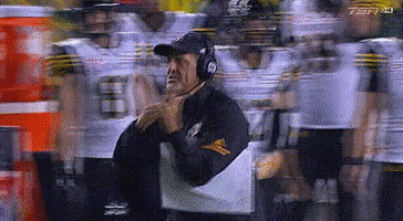 Canadian Tigers GIF by Hamilton Tiger-Cats