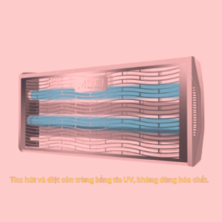 Dendietcontrung GIF