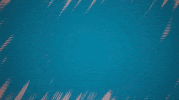 Election Democrat GIF