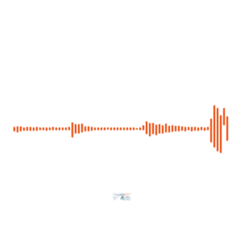 Radio Clube São Domingos Sticker