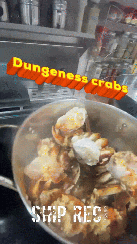 Dungeness Crab GIF by SHIP REC FISHING