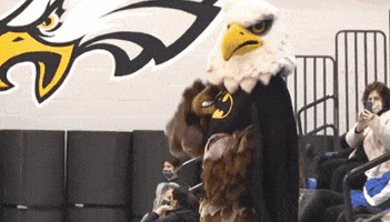 thehubbardeagle dancing batman mascot eagle GIF
