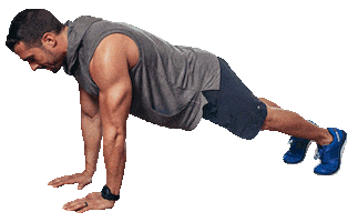 Plank Sticker by JoelFreemanFitness