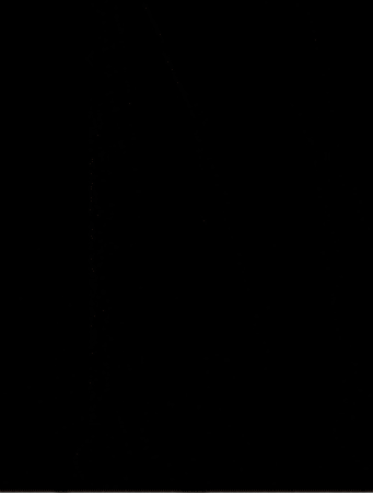 Cat GIF