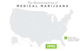 medical marijuana news GIF