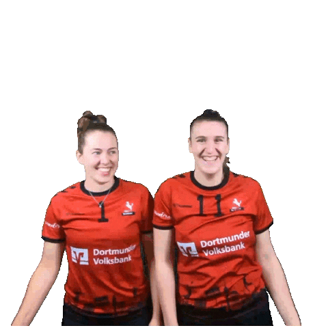 Sport Ball Sticker by TV Hörde