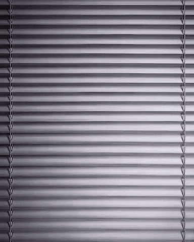 Gym Lion GIF by Rep King