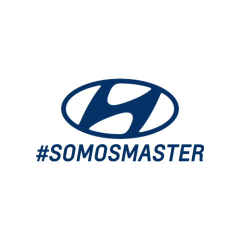 Master Hyundai Sticker