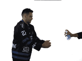 Hockeysurglace Sticker by Corsaires de Nantes