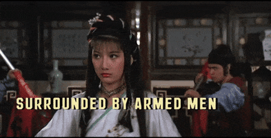 martial arts girl power GIF by Shaw Brothers
