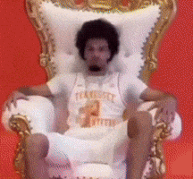 Tennessee Volunteers GIF