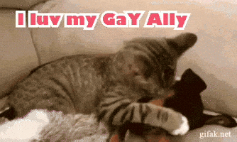 I Luv My Gay Ally GIF