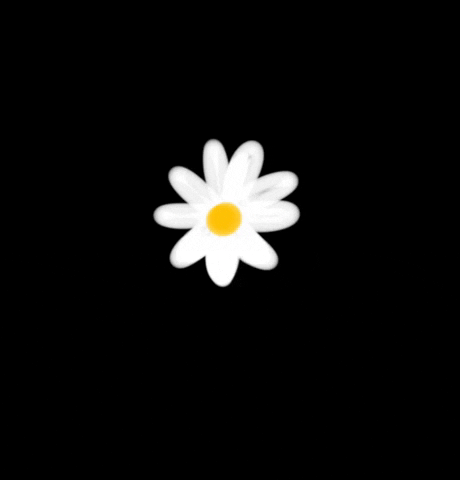 White GIF