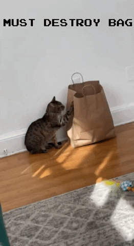 Ds106 Aninmatedgifassignments Aninmatedgifassignments1789 GIF