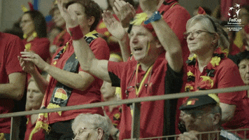 Tennis Fans GIF by Fed Cup by BNP Paribas