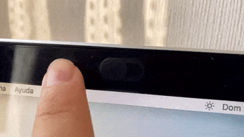 Webcam GIF
