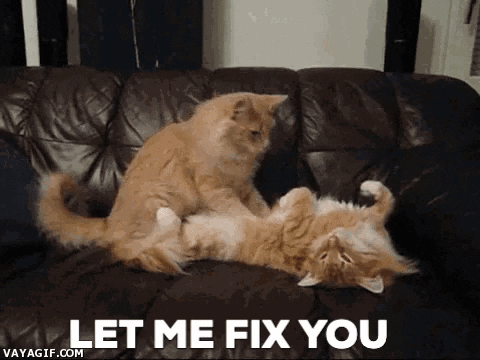 Cats Let Me Fix You GIF di Leroy Patterson - Trova e condividi su GIPHY
