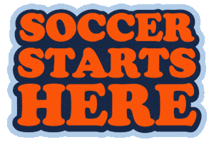 Sticker by AYSO