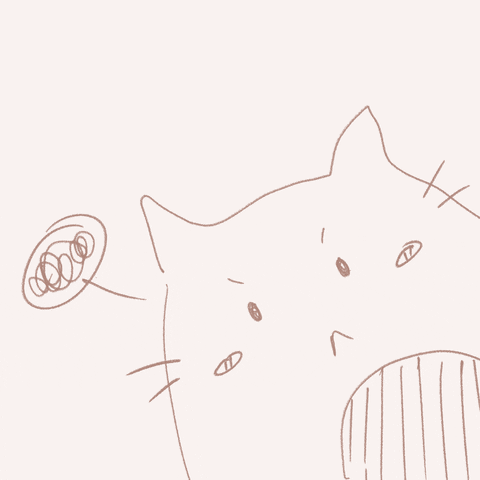 cute cat gif tumblr