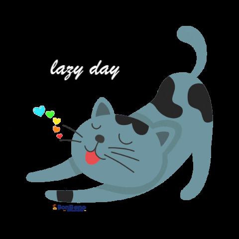 BonBeno cat heart cats lazy GIF