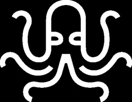 Sturmsucht Hamburg Hochzeitsfotografie GIF by Sturmsucht