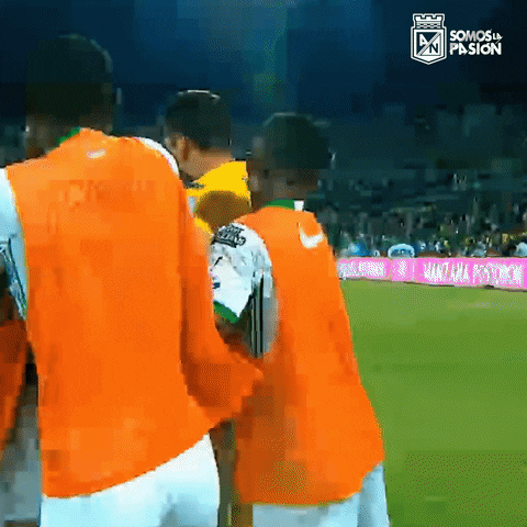 atlnacionaloficial futbol gol colombia alegria GIF