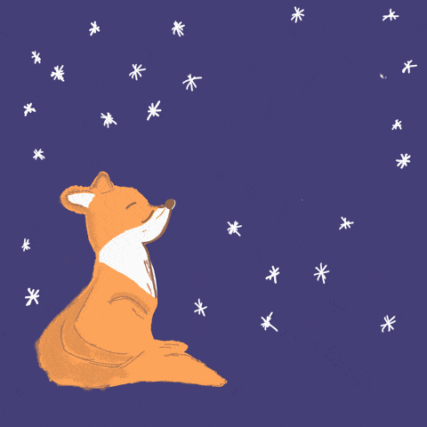 Good Night Fox GIF by deinechristine - Find & Share on GIPHY