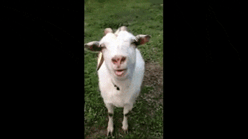 New Roots Herbal GIF