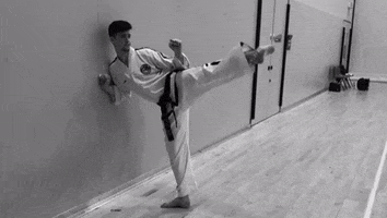 Kicking Martial Arts GIF by Verve Taekwondo
