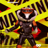 Bad Badger GIFs - Find & Share on GIPHY