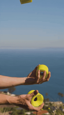 Longboard GIF