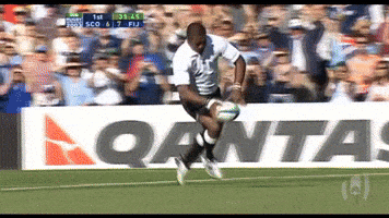 World Rugby Wow GIF by Rugby World Cup