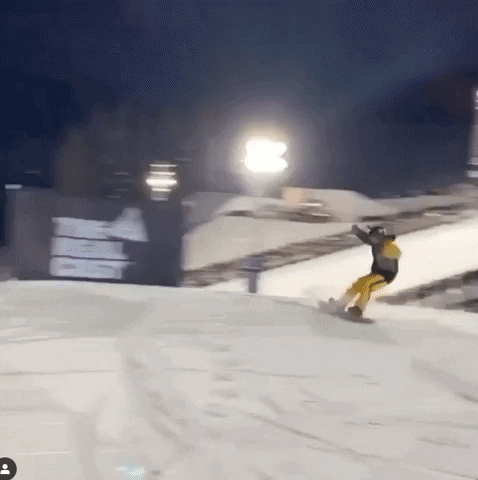 Snowboarding X-Games GIF by Horsefeathers