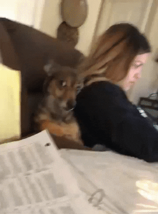 Awkward Eye Contact GIF by swerk