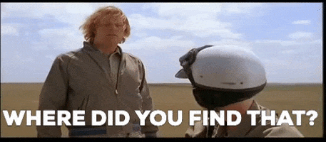 Dumb GIF