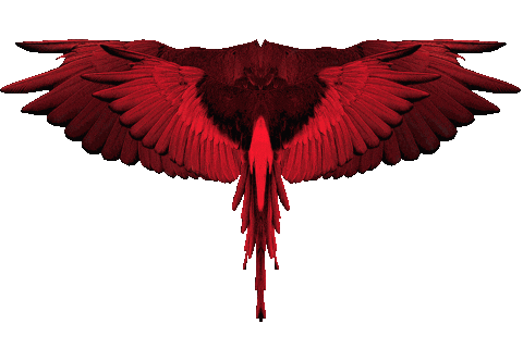 Fashion Brand Sticker By Marcelo Burlon County Of Milan For Ios Android Giphy Fashion Brand Sticker By Marcelo Burlon County Of Milan For Ios Android Giphy