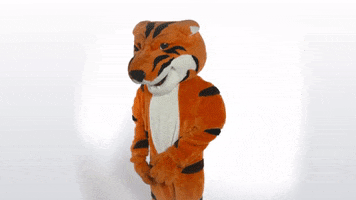College Dab GIF by Rochester Institute of Technology