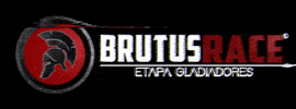 brutusrace brutus brutusrace somostodosbrutus GIF