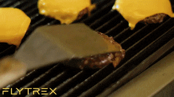 Flytrex-Aviation food burger tasty drone GIF