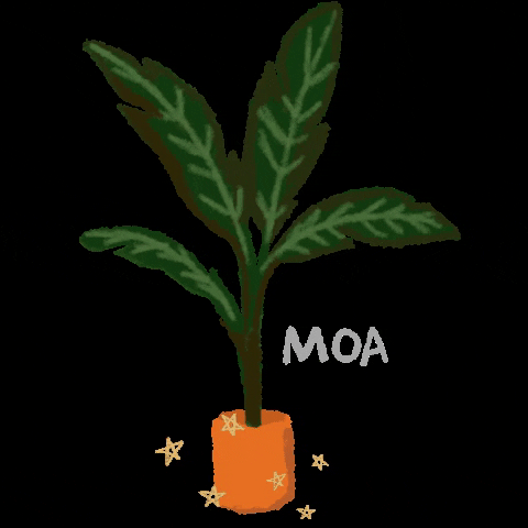 Moartivora plant planta moartivora GIF