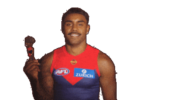 Melbourne Demons Bobblehead Sticker by Melbournefc