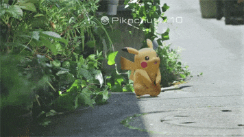 Pokémon GO 0.29.0