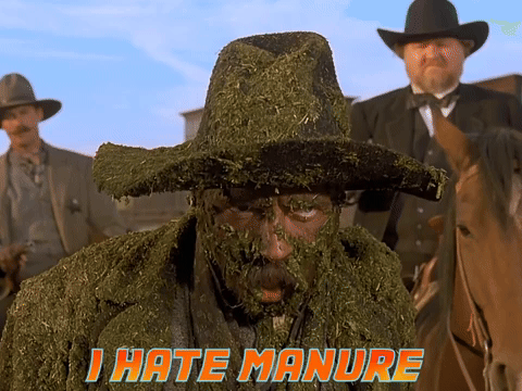 back to the future manure