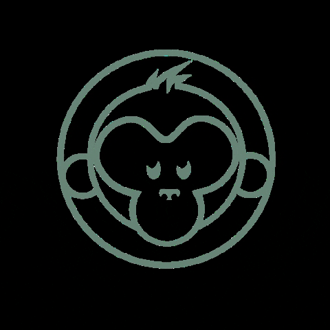 newmonkey.nl GIF