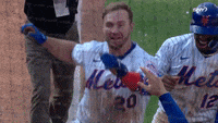 Pete Alonso Homerun GIF by Florida Gators - Find & Share on GIPHY