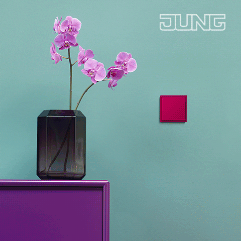 jung-group design flower flowers color GIF