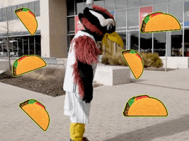 Metropolitan State University Of Denver Tacos GIF by Rowdy the Roadrunner