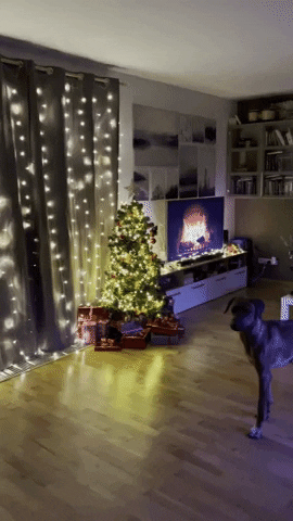 Merry Christmas Dog GIF by #nikaachris